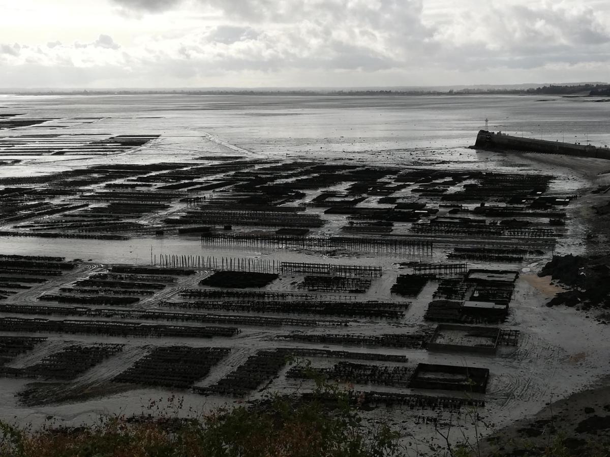 Chambres D'Hotes Les Fleurettes En Baie Du Mont Saint Michel Bagian luar foto